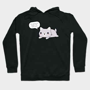 Funny Cat Pun Hoodie